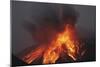 Molten Lava Erupts from Sakurajima Kagoshima Japan-Nosnibor137-Mounted Photographic Print