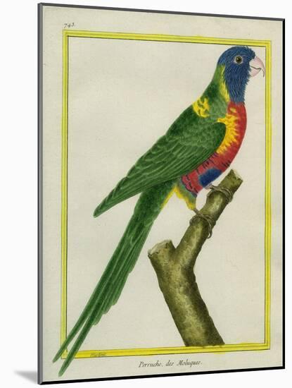 Moluccan King Parrot-Georges-Louis Buffon-Mounted Giclee Print