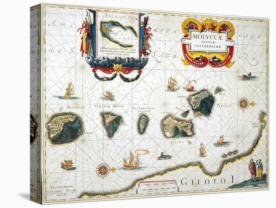 Moluccas: Spice Islands-Jan Blaeu-Stretched Canvas