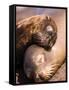 Mom and Baby Sea Lions, South Plaza Island, Galapagos Islands National Park, Ecuador-Stuart Westmoreland-Framed Stretched Canvas