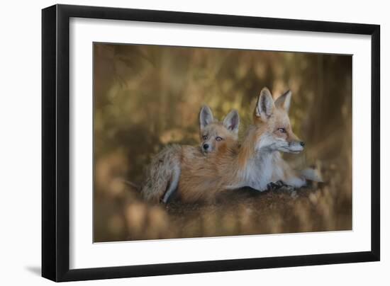 Mom Pillow-Ling Zhang-Framed Giclee Print