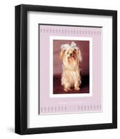 Mom's Favourite-Rachael Hale-Framed Art Print