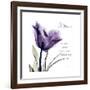 Mom Tulip-Albert Koetsier-Framed Premium Giclee Print