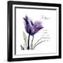 Mom Tulip-Albert Koetsier-Framed Premium Giclee Print