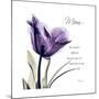 Mom Tulip-Albert Koetsier-Mounted Premium Giclee Print