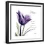 Mom Tulip-Albert Koetsier-Framed Premium Giclee Print