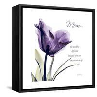 Mom Tulip-Albert Koetsier-Framed Stretched Canvas