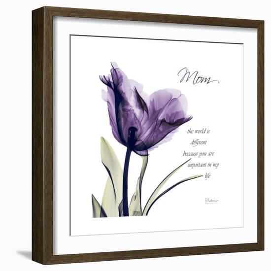 Mom Tulip-Albert Koetsier-Framed Premium Giclee Print