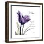 Mom Tulip-Albert Koetsier-Framed Premium Giclee Print