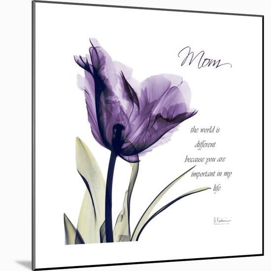 Mom Tulip-Albert Koetsier-Mounted Premium Giclee Print
