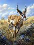 Just the Print