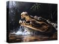 Stretched Canvas