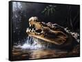 Canvas Black