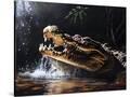 Stretched Canvas
