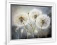 Gramercy White