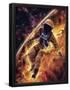 Essential Black