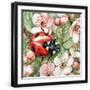 Black Frame