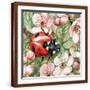 Brown Frame