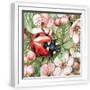 White Frame