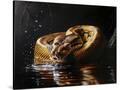 Stretched Canvas