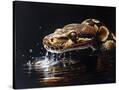 Stretched Canvas