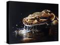 Stretched Canvas