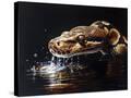 Stretched Canvas