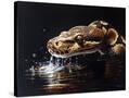 Stretched Canvas