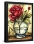 Essential Black