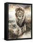 Framed Canvas