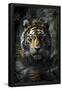 Essential Black