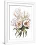 Gramercy White