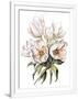 Gramercy White
