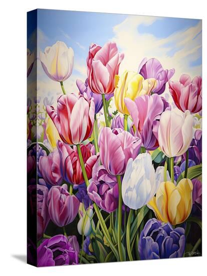 Stretched Canvas Print, , large