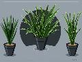 Just the Print