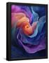 Essential Black