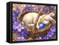 Framed Canvas
