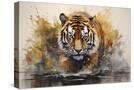 Stretched Canvas