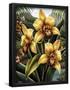 Essential Black