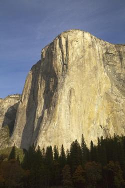 Search for sidebar el capitan ca