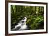 Moment in Nature-Natalie Mikaels-Framed Photographic Print