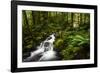 Moment in Nature-Natalie Mikaels-Framed Photographic Print