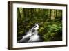 Moment in Nature-Natalie Mikaels-Framed Photographic Print