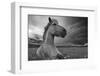 Moment in Time-Bragi Ingibergsson --Framed Photographic Print