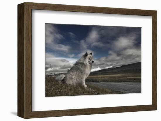 Moment in Time-Bragi Ingibergsson --Framed Photographic Print