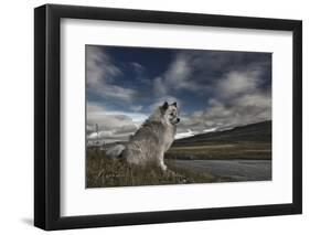 Moment in Time-Bragi Ingibergsson --Framed Photographic Print