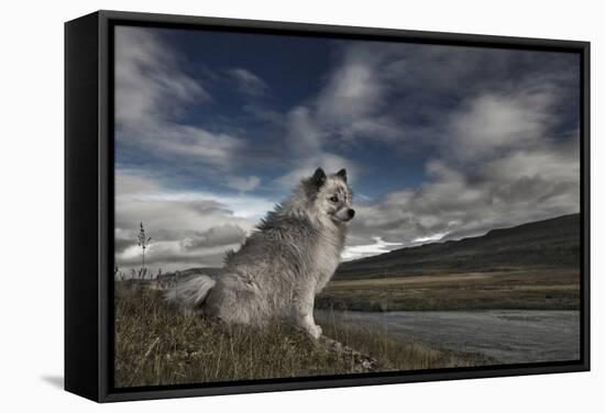 Moment in Time-Bragi Ingibergsson --Framed Stretched Canvas