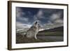 Moment in Time-Bragi Ingibergsson --Framed Photographic Print