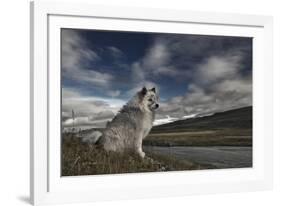 Moment in Time-Bragi Ingibergsson --Framed Photographic Print