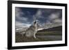 Moment in Time-Bragi Ingibergsson --Framed Photographic Print